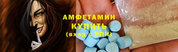 крисы Богородицк