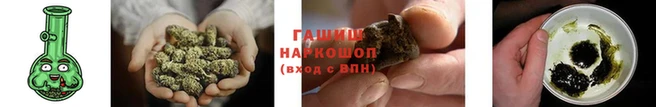 крисы Богородицк