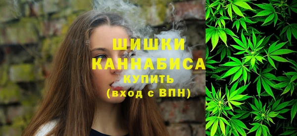 крисы Богородицк