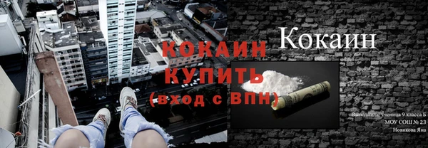 крисы Богородицк