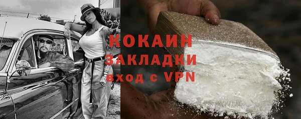 крисы Богородицк