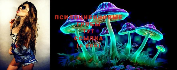 крисы Богородицк